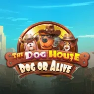 The Dog House - Dog or Alive